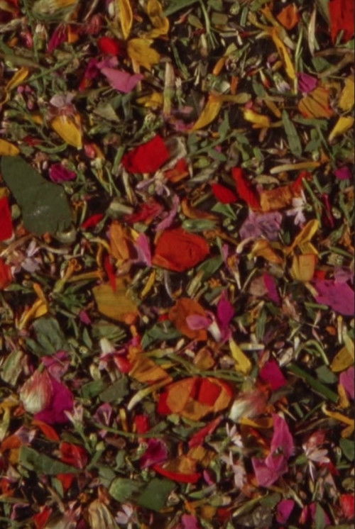 M*U*S*H (2022) poster