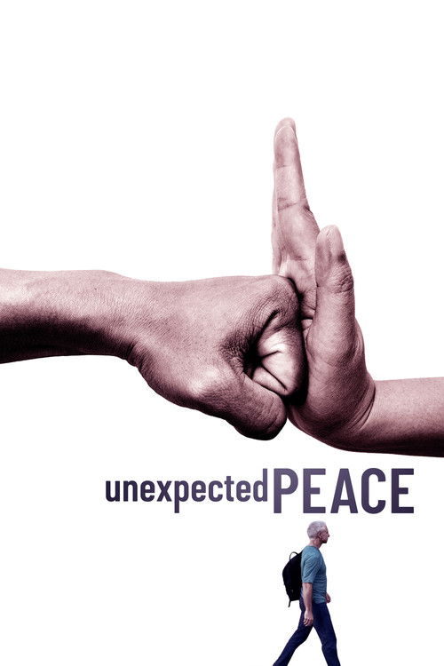 Unexpected Peace (2024) poster