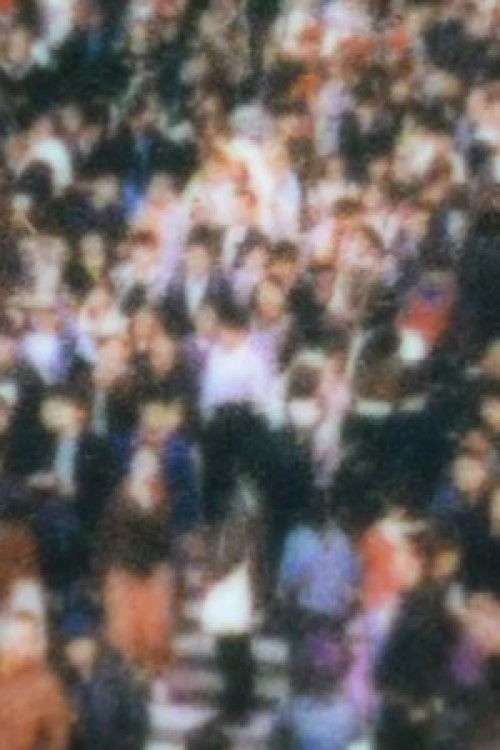 Camouflage (2017) poster