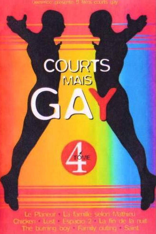 Courts mais Gay : Tome 4 (2002) poster