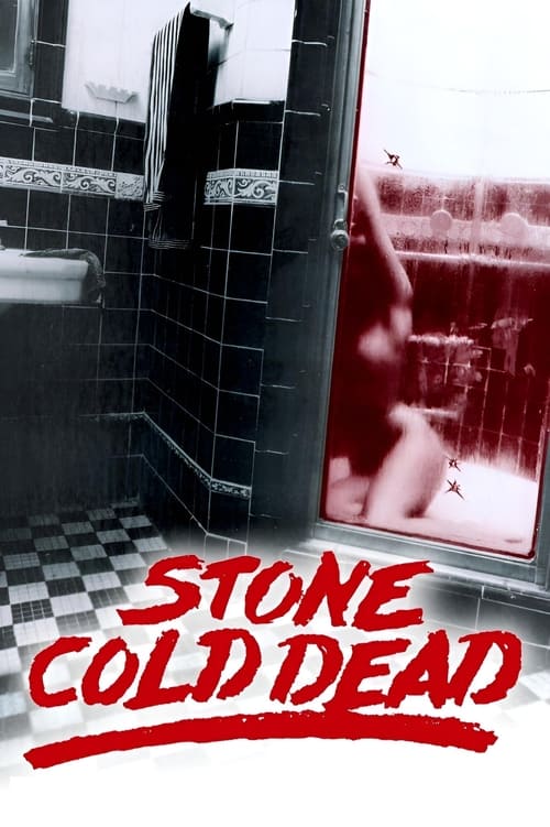 Stone Cold Dead (1979) poster