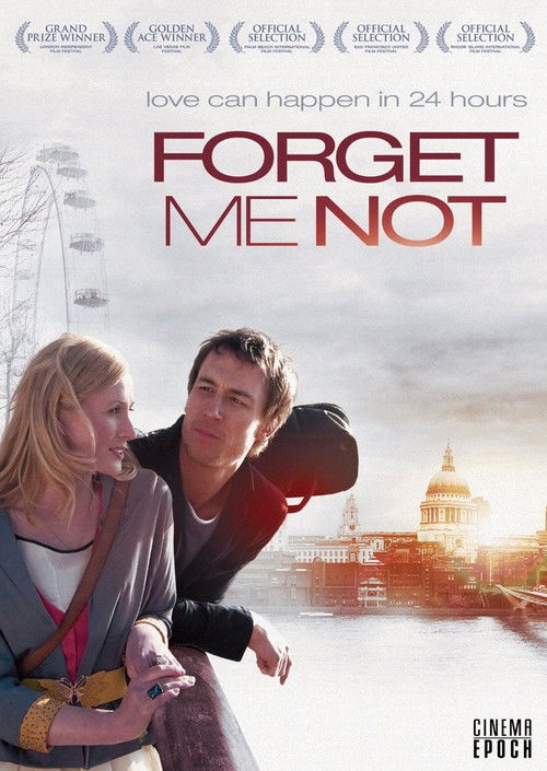 Forget Me Not (2011) poster