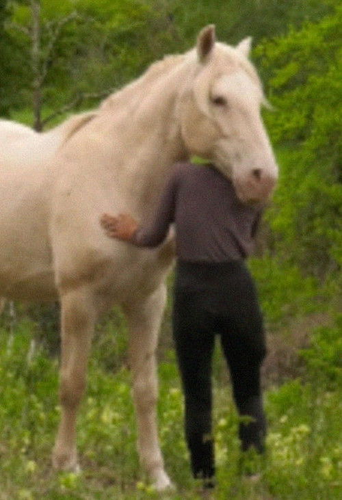 Le silence entre les notes (2023) poster