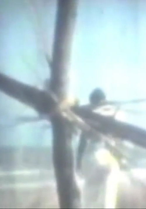 El diablo (1963) poster