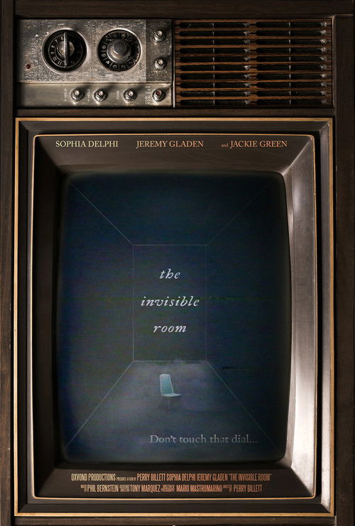 The Invisible Room (2024) poster