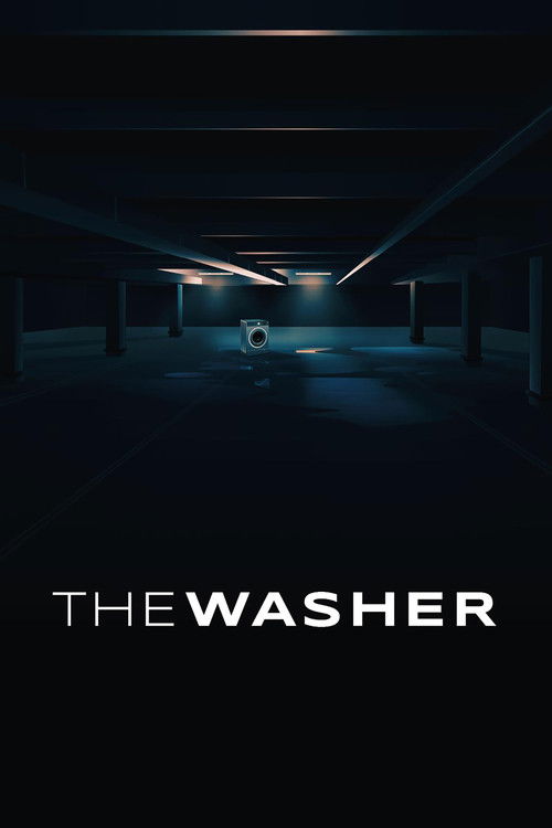 The Washer (2024) poster