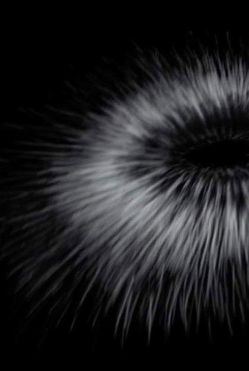 Hallowstide (2017) poster