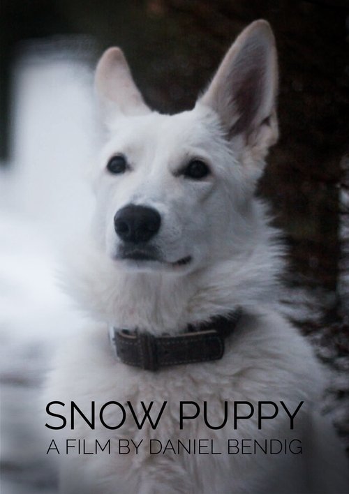 Snow Puppy (2018) poster