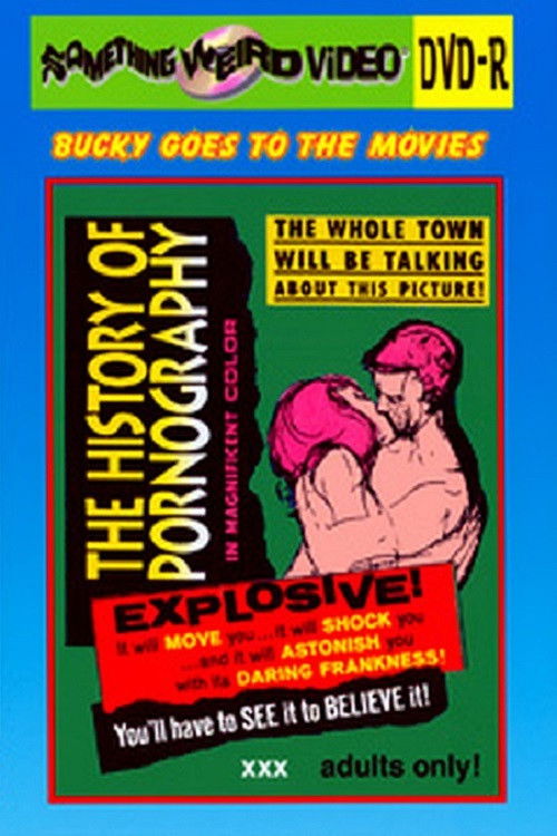 The History of Pornography (1970) poster