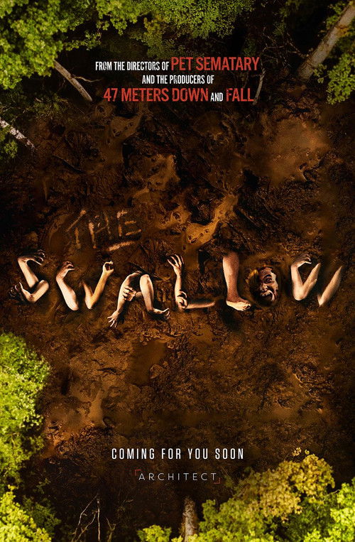 The Swallow poster