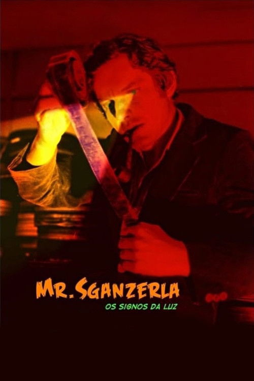 Mr. Sganzerla: Os Signos da Luz (2012) poster
