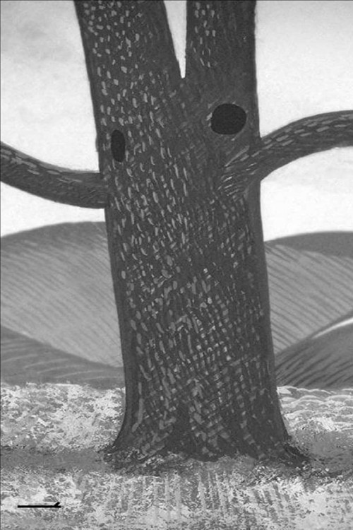 Crow’s Nest (2013) poster