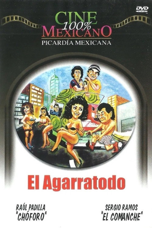 Pasandola bien (1989) poster
