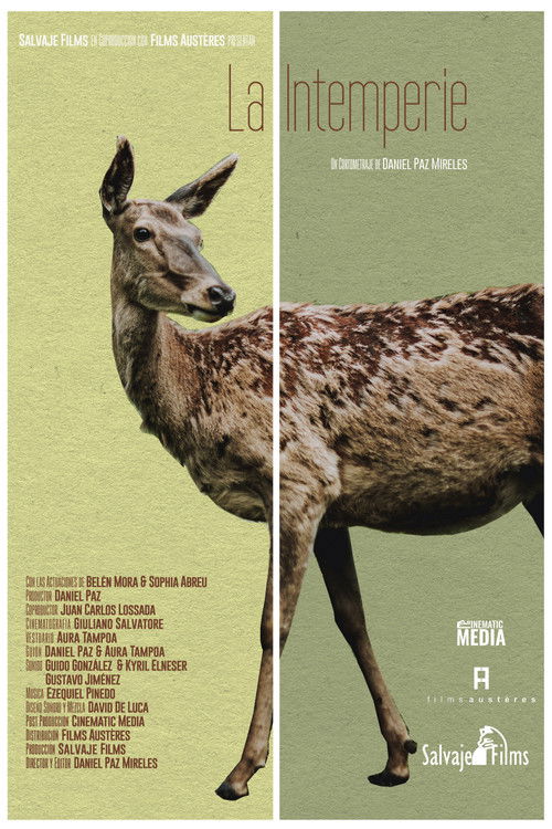 Out in the Open (2021) poster