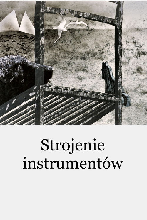 Strojenie instrumentów (2000) poster
