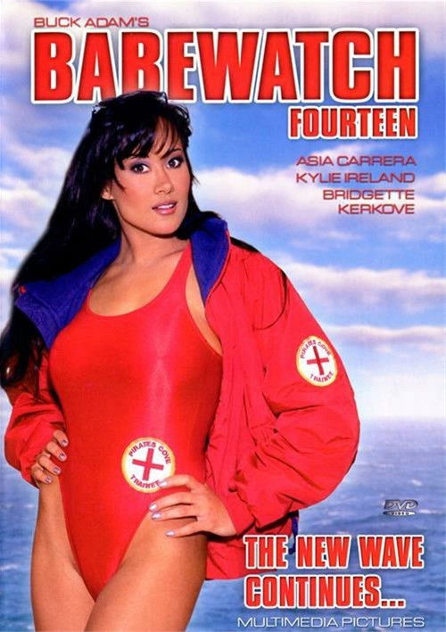 Babewatch 14 (2001) poster