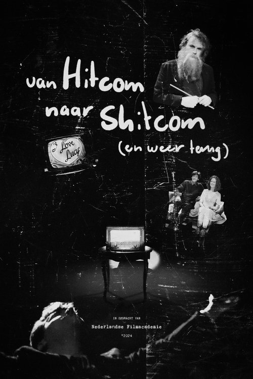 From Hitcom To Shitcom (And Back) (2024) poster