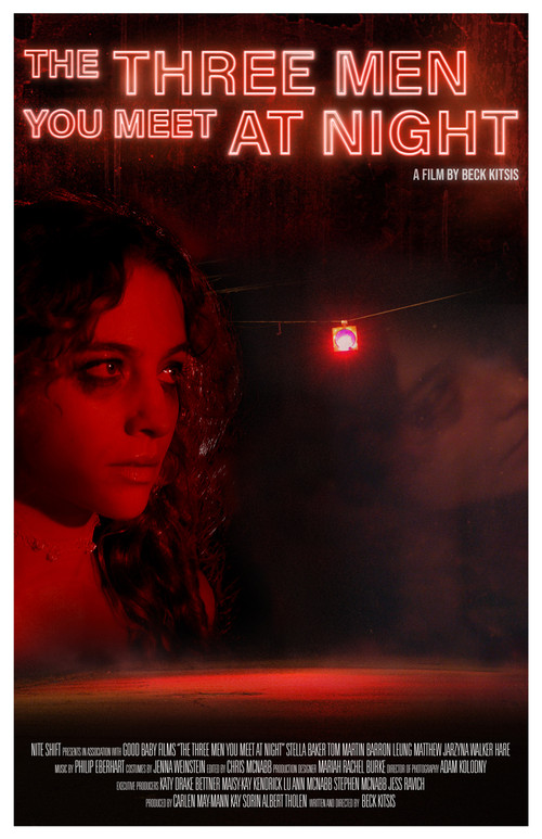 The Three Men You Meet at Night (2020) poster