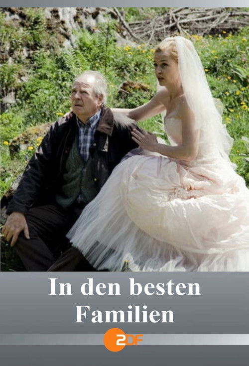 In den besten Familien (2012) poster