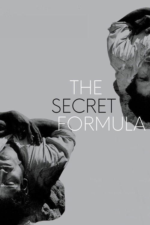 The Secret Formula (1965) poster