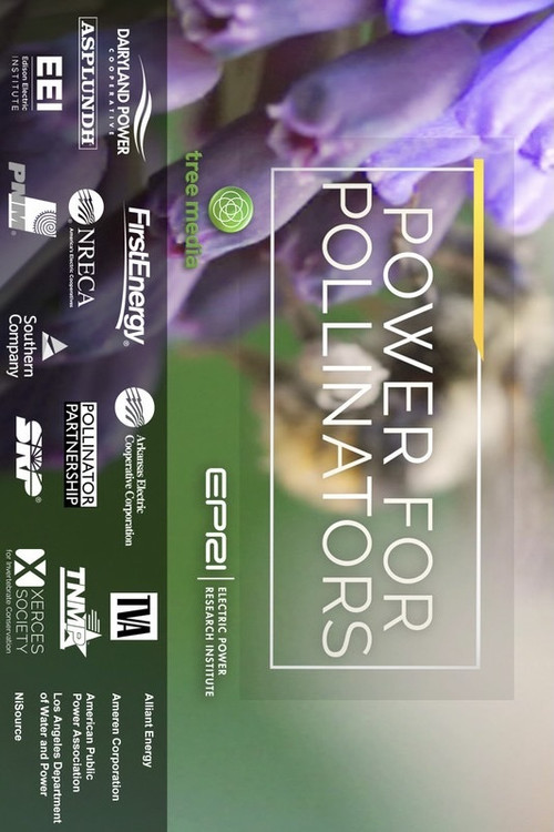 Power for Pollinators (2020) poster