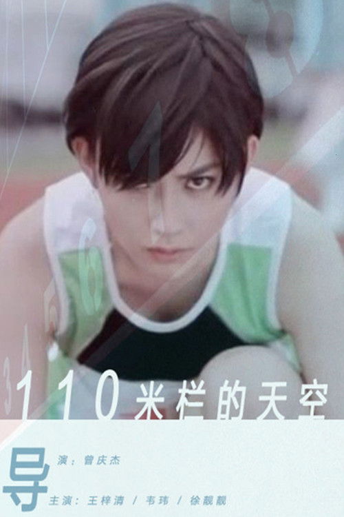 110米栏的天空 (2012) poster