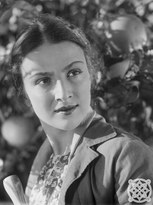 კოლხეთის ჩირაღდნები (1941) poster