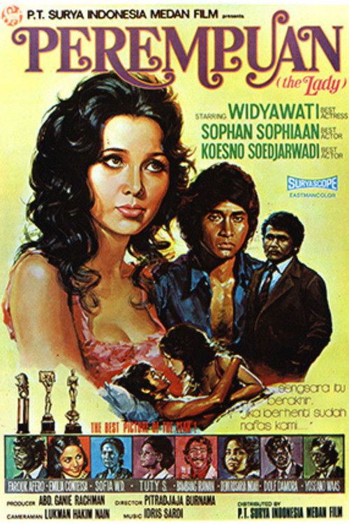 The Lady (1973) poster