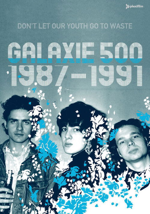 Galaxie 500: Don't Let Our Youth Go to Waste (2004) poster