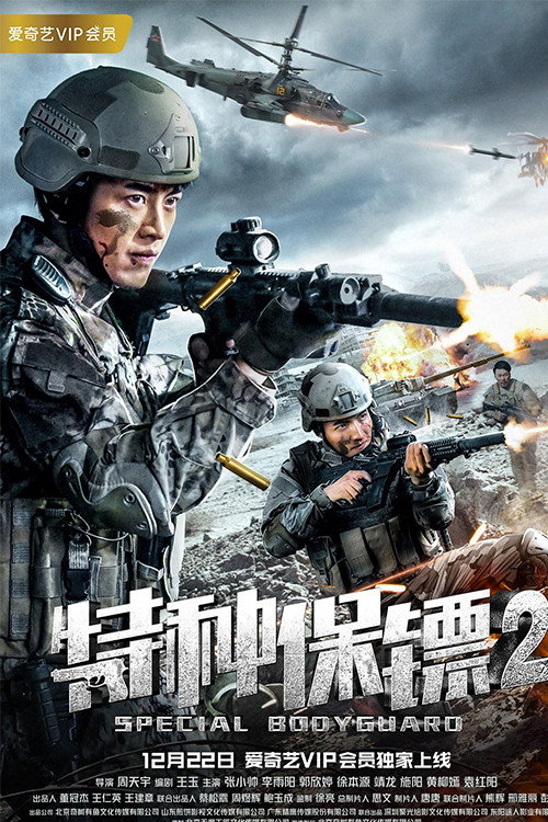 特种保镖2 (2018) poster
