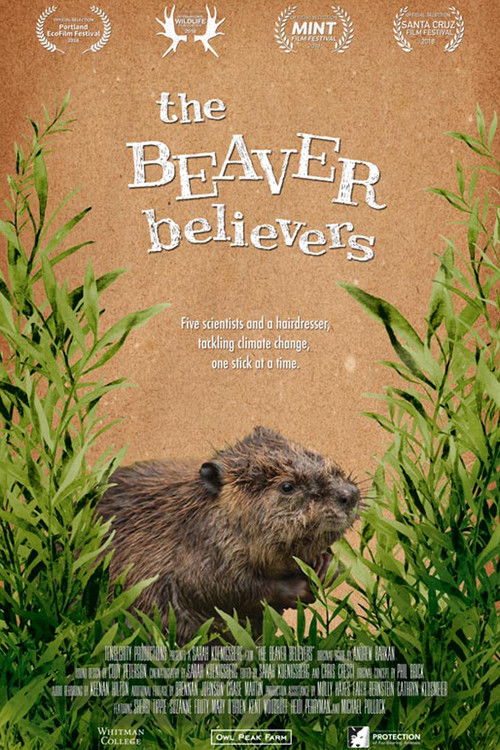 The Beaver Believers (2018) poster