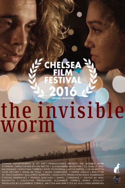 The Invisible Worm (2016) poster
