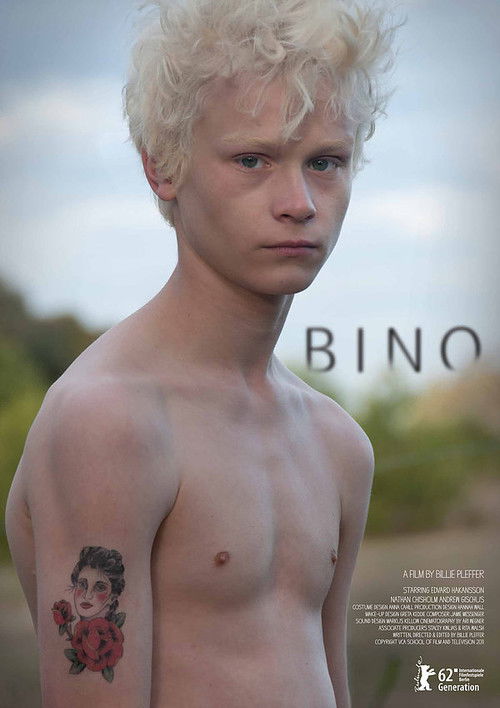 Bino (2012) poster