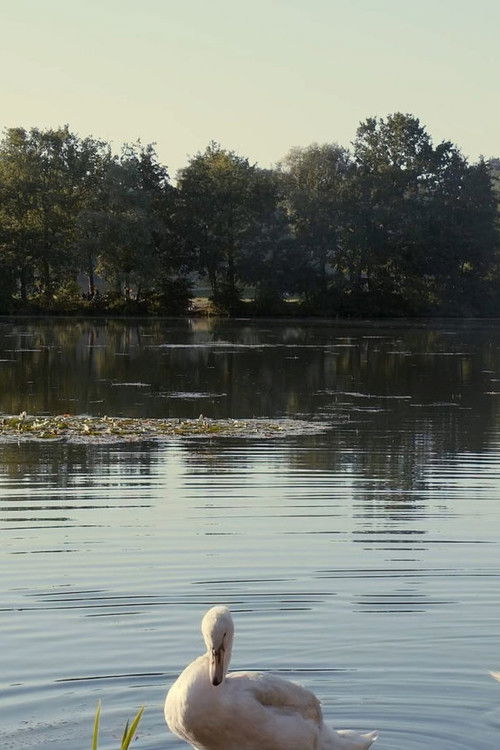 Le Jardin (2021) poster