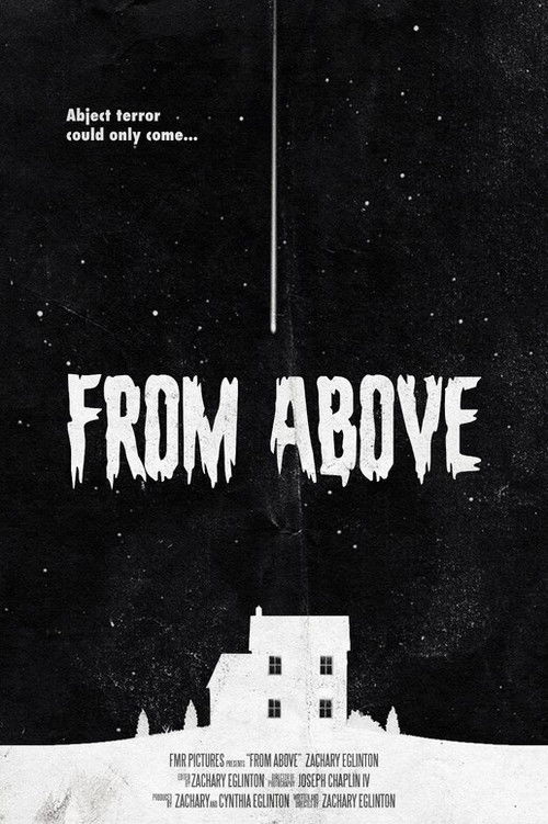 From Above (2023) poster