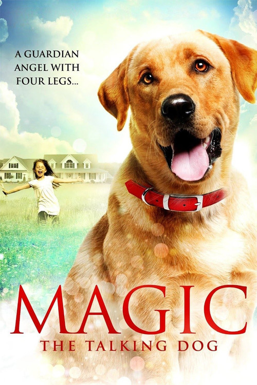 Magic (2010) poster