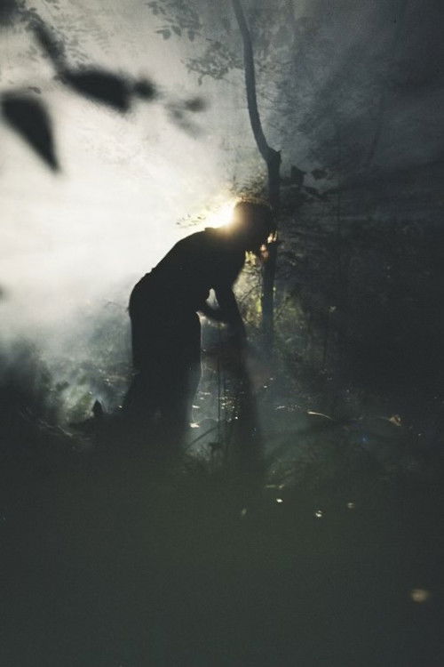 Palindrome (2025) poster