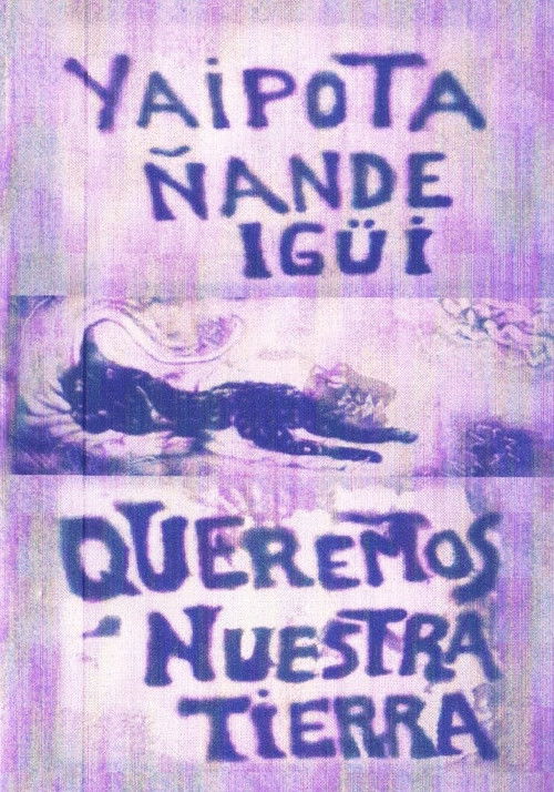 Yaipota ñande igüi - Queremos nuestra tierra (2006) poster