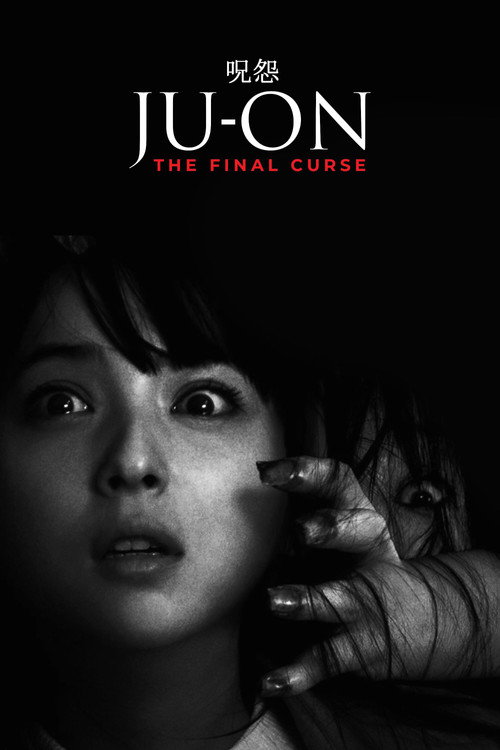 呪怨 ザ・ファイナル (2015) poster