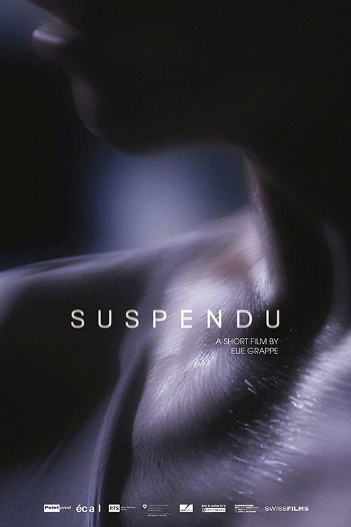 Suspendu (2015) poster