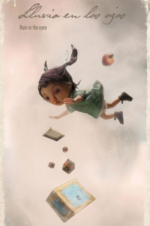 Rain in the Eyes (2012) poster