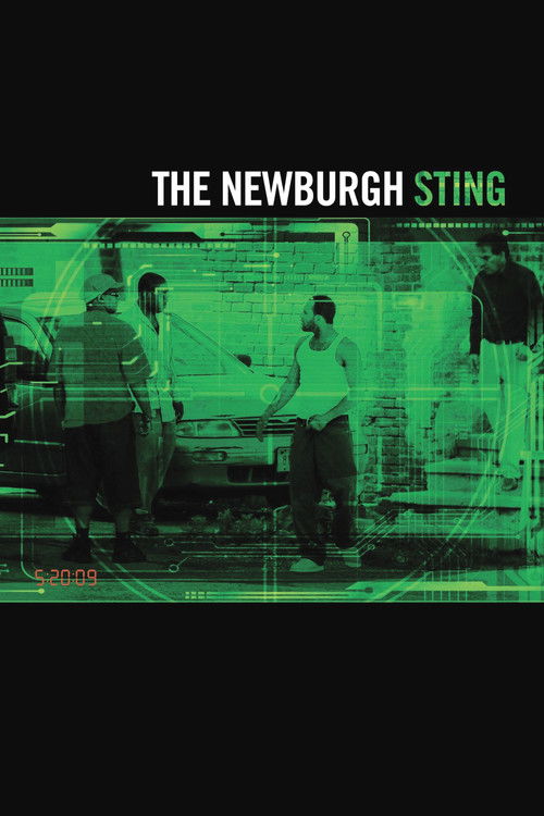 The Newburgh Sting (2014) poster
