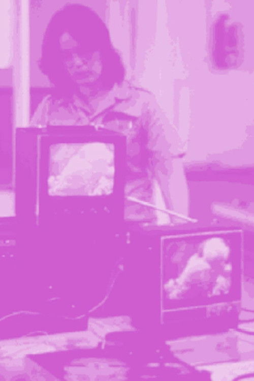 Not For Sale: Feminism and Art in the USA during the 1970s (1998) poster