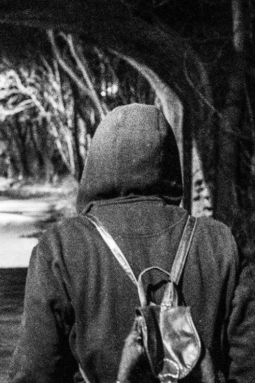 I Should Have Run (2017) poster