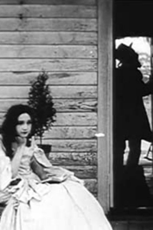 By a Woman's Wit (1911) poster