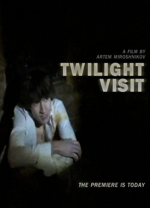 Twilight Visit (2026) poster