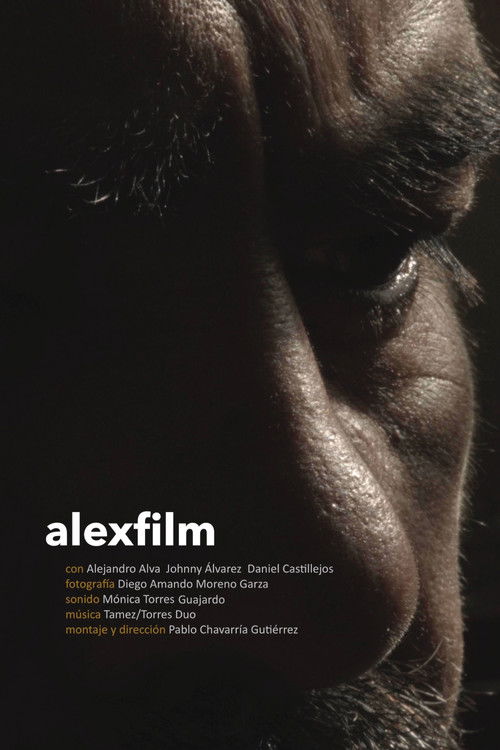 Alexfilm (2015) poster