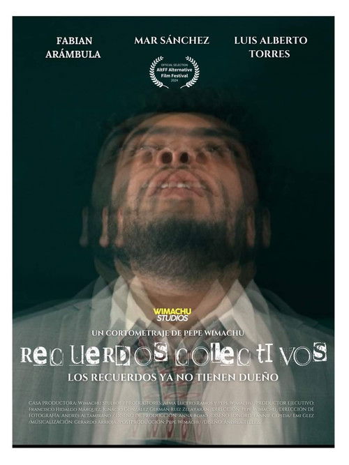 Finding Memories (2024) poster