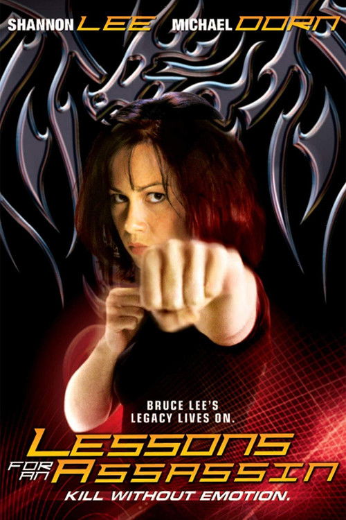 Lessons for an Assassin (2003) poster