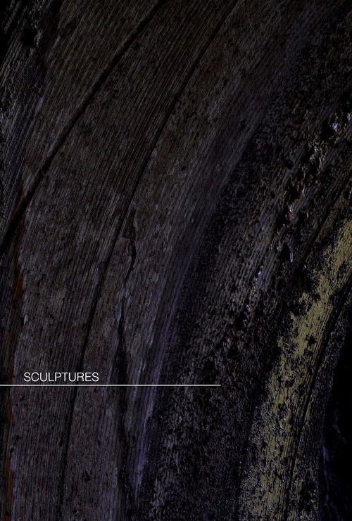 Sculptures (2025) poster